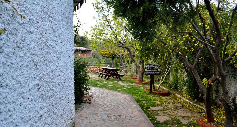 Mountain Trail Resort, Mukteshwar 2